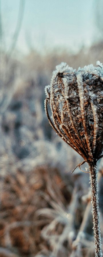 November, Structure & contrast