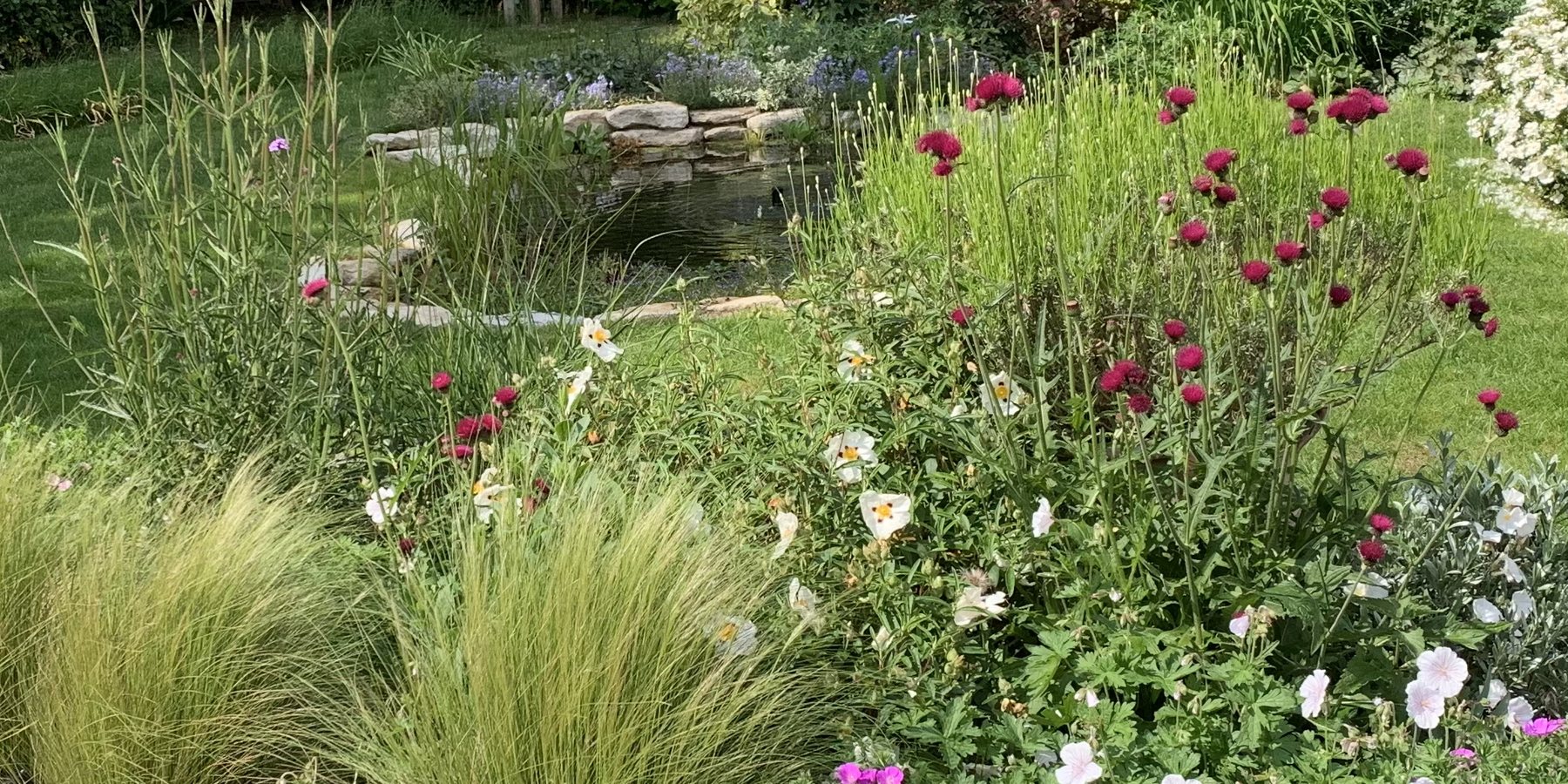 Pond & Wildlife Garden in Oxfordshire